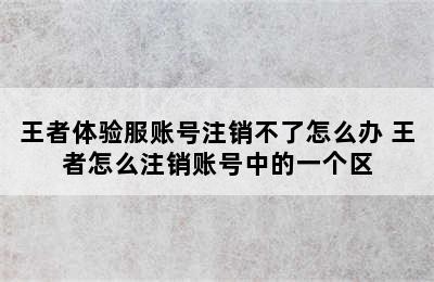 王者体验服账号注销不了怎么办 王者怎么注销账号中的一个区